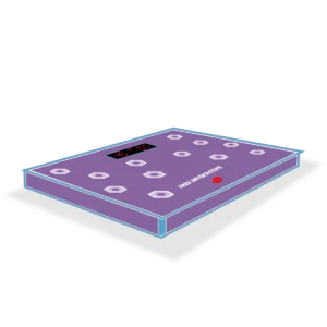 Flash Frenzy (Foot)