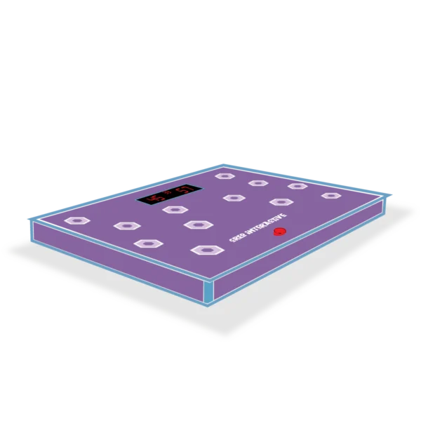 Flash Frenzy (Foot)